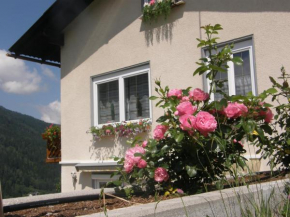 Brennseeblick